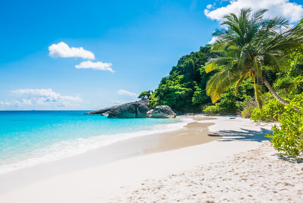 A relaxing resort destination